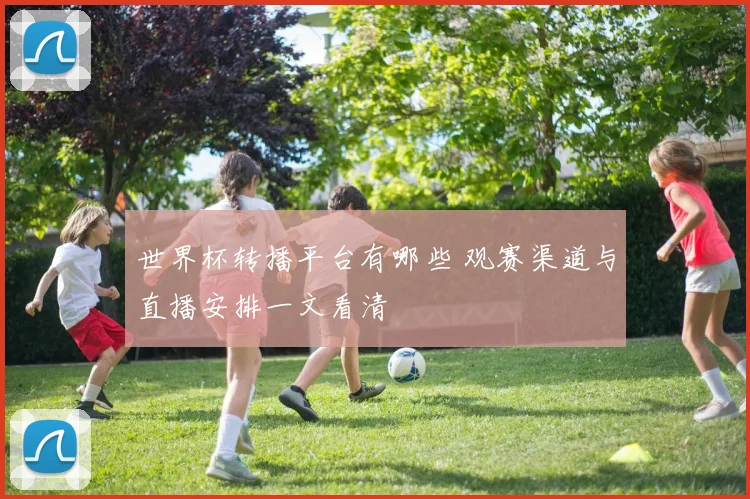 世界杯转播平台有哪些 观赛渠道与直播安排一文看清