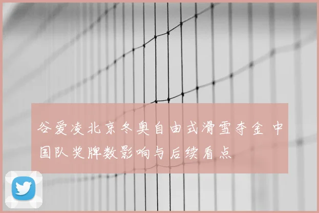 谷爱凌北京冬奥自由式滑雪夺金 中国队奖牌数影响与后续看点