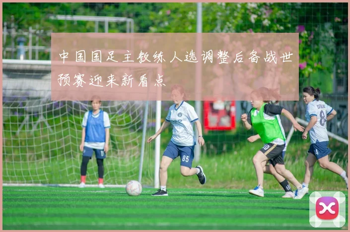 中国国足主教练人选调整后备战世预赛迎来新看点