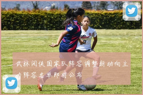 武林闲侠国家队阵容调整新动向主力阵容名单即将公布